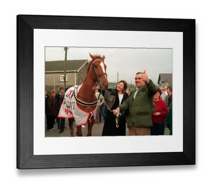 Framed Print : Cheltenham Gold Cup winner Nortons Coin during celebrations in his village after the race