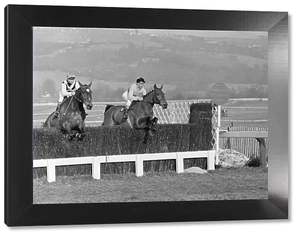 Cheltenham Gold Cup 1965. Arkle (on the right) seen leading Mill House over the last