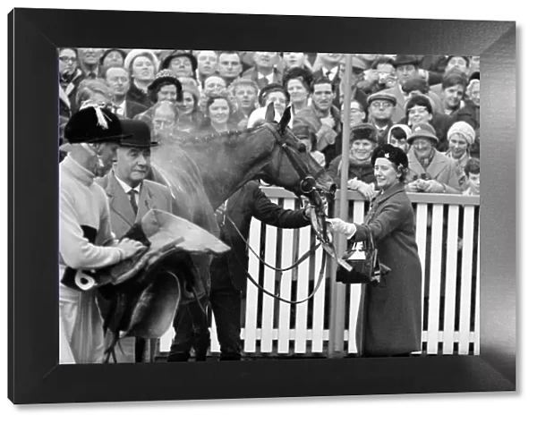Racehorse owner The Duchess of Westminster leads smiling jockey Pat Taaffe on racehorse