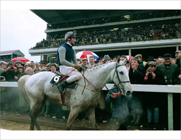 Crowds cheer jockey Simon Sherwood after he won the Gold Cup at Cheltenham on famous