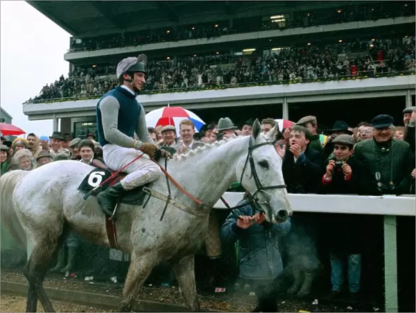 Crowds cheer jockey Simon Sherwood after he won the Gold Cup at Cheltenham on famous