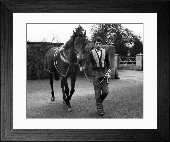 Framed Print : Famous racehorse Arkle being being walked around at the stables of Tom Dreaper