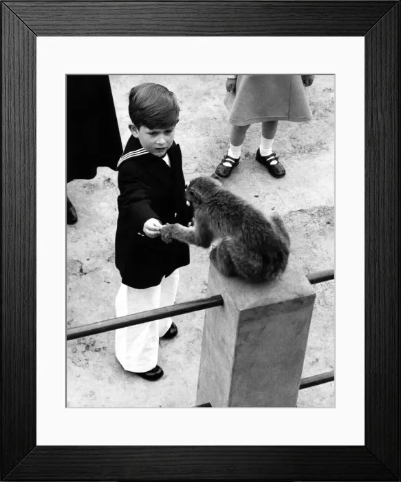 Framed Print : Prince Charles - The Prince of Wales at the age of 6, pictured wearing a sailorboy outfit Framed Print : Prince Charles - The Prince of Wales at the age of 6, pictured wearing a sailorboy outfit