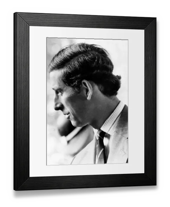 Framed Print : Prince Charles, The Prince of Wales during his visit to the North East 31 May 1978 Framed Print : Prince Charles, The Prince of Wales during his visit to the North East 31 May 1978