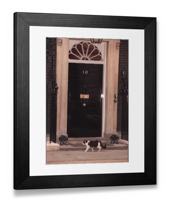 Framed Print : HUMPHREY THE DOWNING STREET CAT
