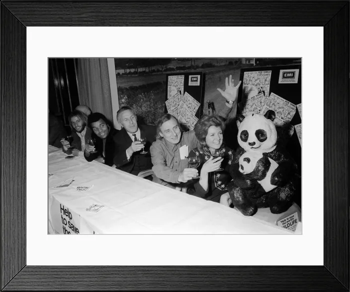 Framed Print : European Conservation December 1969 Wildlife reception 19  /  12  /  1969