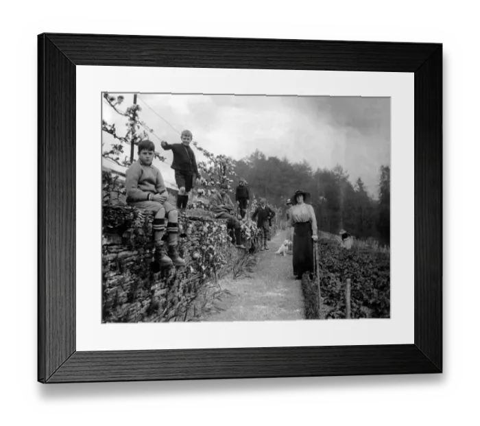 Framed Print : Walled garden at Clynfyw in Wales Circa 1910. Local Caption TP 191202 GARDEN Framed Print : Walled garden at Clynfyw in Wales Circa 1910. Local Caption TP 191202 GARDEN