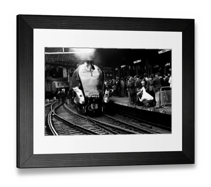 Framed Print : Wowing the platform crowd at Newcastle Central station is Gresley streamlined A4 pacific