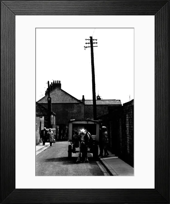 Framed Print : General views of the Northumberland village of Cambois. A backstreet trotter Framed Print : General views of the Northumberland village of Cambois. A backstreet trotter