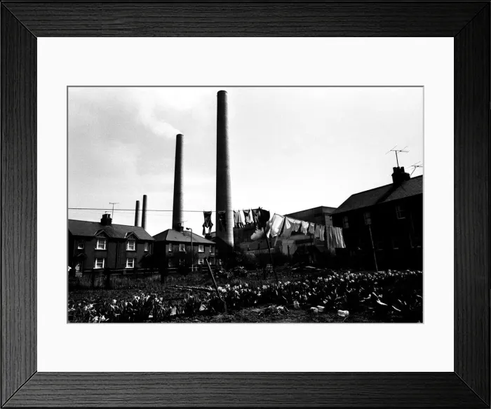 Framed Print : General views of the Northumberland village of Cambois Framed Print : General views of the Northumberland village of Cambois