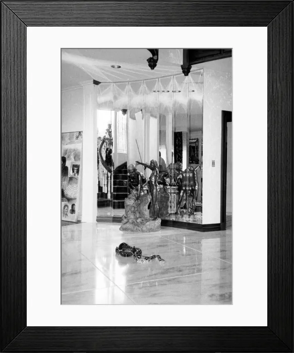 Framed Print : Muscles the Boa Constrictor seen here at Michael Jacksons California home. September 1983 Framed Print : Muscles the Boa Constrictor seen here at Michael Jacksons California home. September 1983