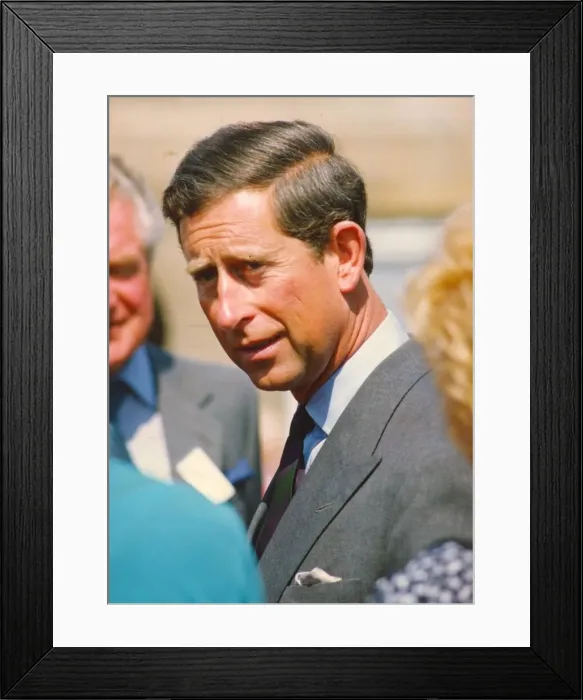 Framed Print : Prince Charles, The Prince of Wales during his visit to the North East 29 June 1993 - Framed Print : Prince Charles, The Prince of Wales during his visit to the North East 29 June 1993 -