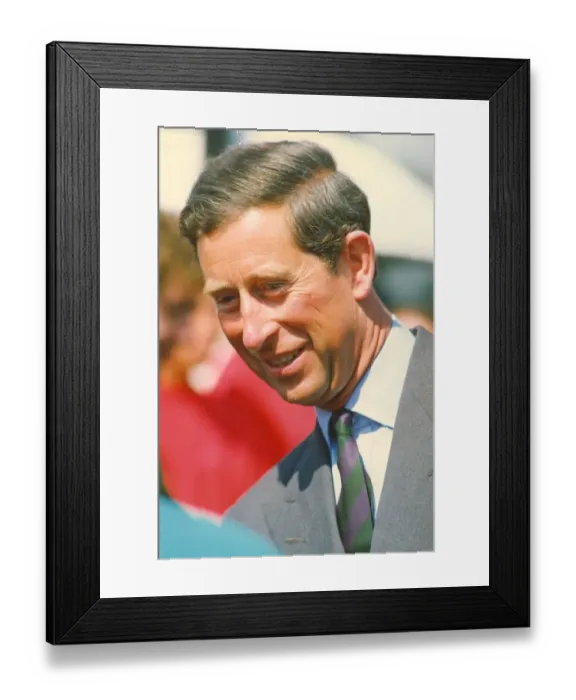 Framed Print : Prince Charles, The Prince of Wales during his visit to the North East 29 June 1993 -