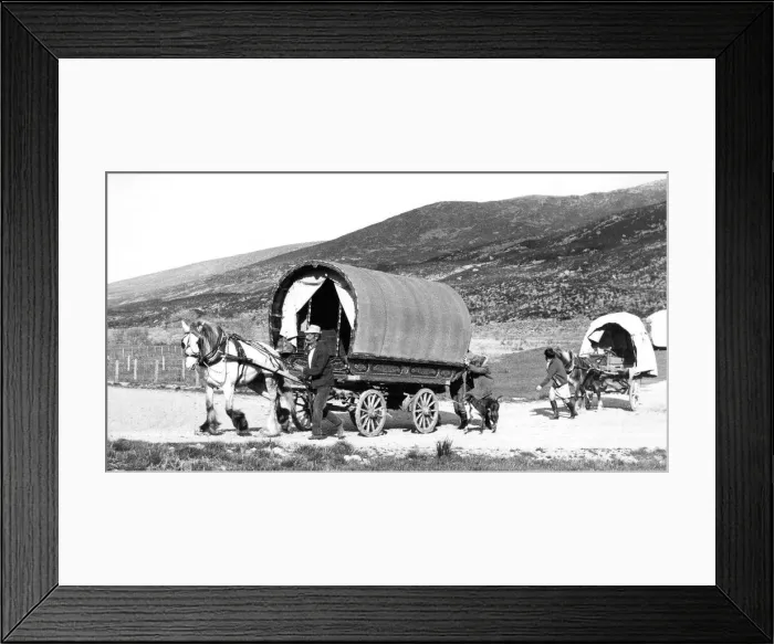 Framed Print : Gypsy caravans on the road in July 1973 Framed Print : Gypsy caravans on the road in July 1973