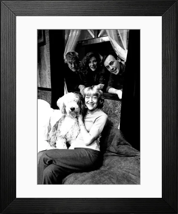 Framed Print : Dora Bryan, with dog Bella, alongside Ivan Beavis, Carol Drinkwater Framed Print : Dora Bryan, with dog Bella, alongside Ivan Beavis, Carol Drinkwater