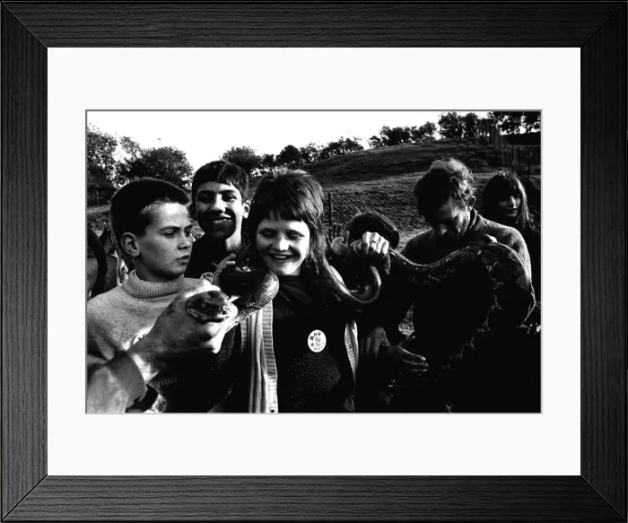 Framed Print : Some of the four hundrend children from Newcastles West End on a trip to Stanley Zoo Framed Print : Some of the four hundrend children from Newcastles West End on a trip to Stanley Zoo