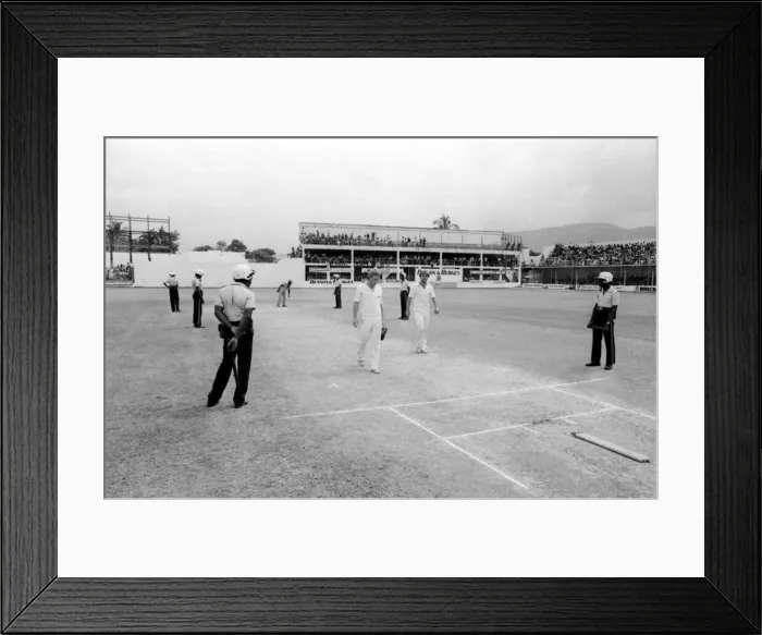 Framed Print : England in West Indies 1981. West Indies v England at Sabina Park, Kingston