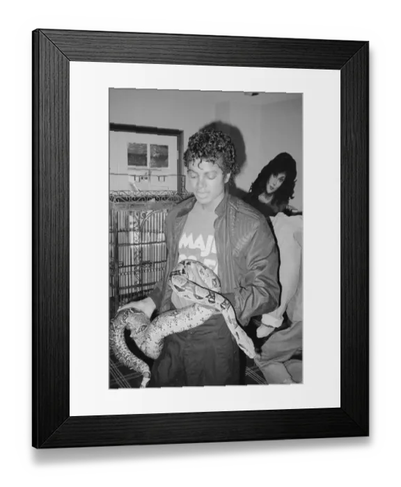 Framed Print : Singer Michael Jackson with his pet Muscles the boa constrictor at his home in California Framed Print : Singer Michael Jackson with his pet Muscles the boa constrictor at his home in California