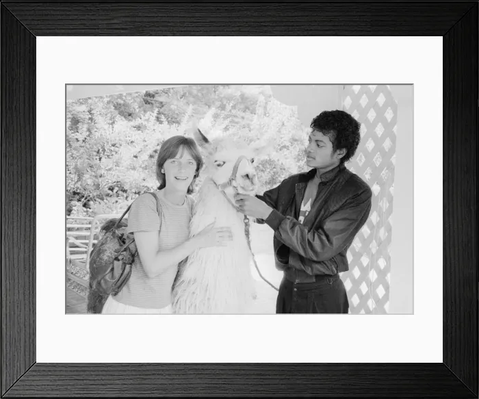 Framed Print : Singer Michael Jackson introduces his pet llama to Daily Mirror competition winner Susan