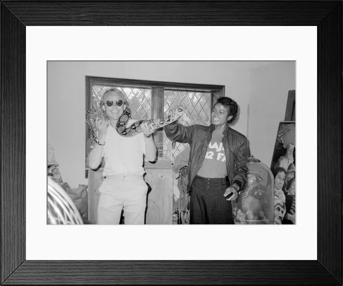 Framed Print : Singer Michael Jackson introduces Daily Mirror reporter Neil Murray to his pet boa Framed Print : Singer Michael Jackson introduces Daily Mirror reporter Neil Murray to his pet boa