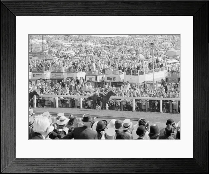 Framed Print : Blushing Groom No 3 seen here in the final furlong of the 1977 Derby Framed Print : Blushing Groom No 3 seen here in the final furlong of the 1977 Derby