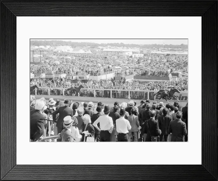 Framed Print : Blushing Groom No 3 seen here in the final furlong of the 1977 Derby Framed Print : Blushing Groom No 3 seen here in the final furlong of the 1977 Derby