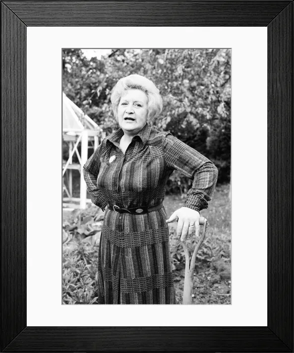 Framed Print : Actress Molly Sugden at home in her garden. 12th November 1977 Framed Print : Actress Molly Sugden at home in her garden. 12th November 1977