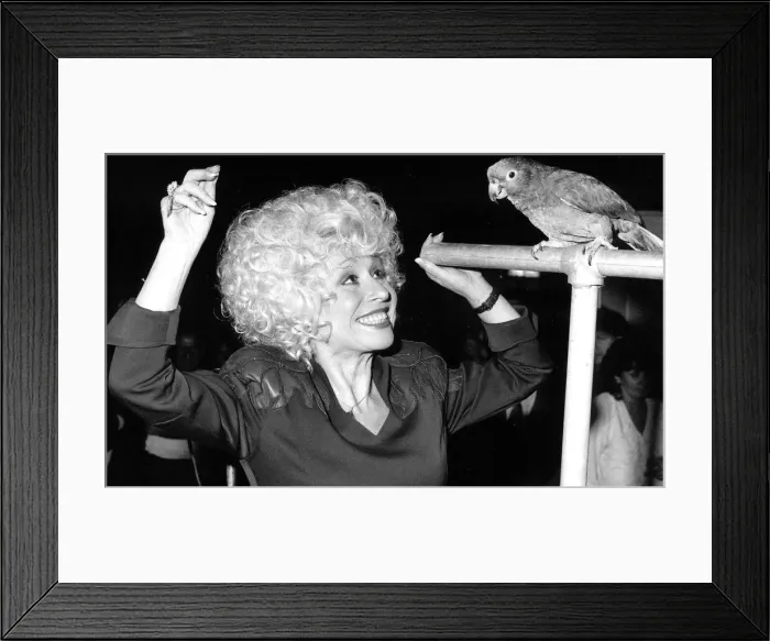 Framed Print : Actress Barbara Windsor was judging a bird talking contest at the NEC, Birmingham Framed Print : Actress Barbara Windsor was judging a bird talking contest at the NEC, Birmingham