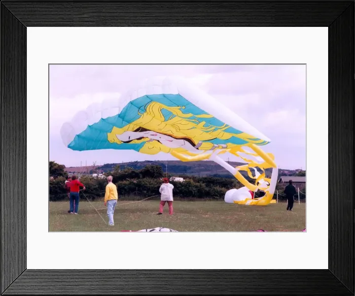 Framed Print : A participant in the annual kite festival at Washington in July 1996 Framed Print : A participant in the annual kite festival at Washington in July 1996