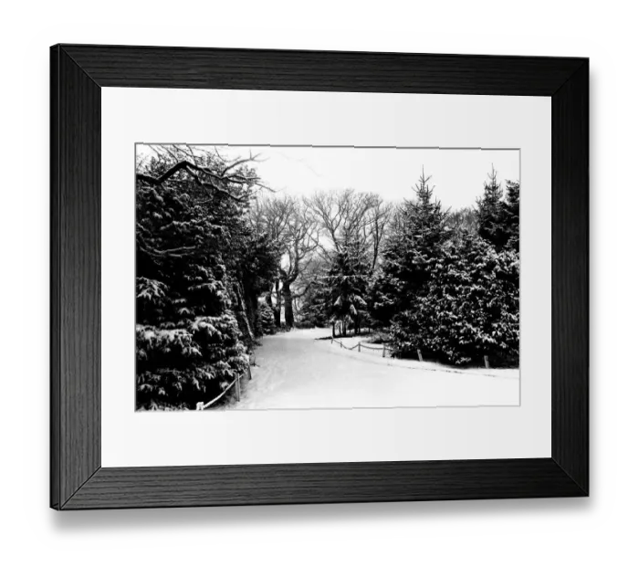 Framed Print : Winter Weather - Snow Scenes 20 February 1986 - Rural scene in Northumberland Framed Print : Winter Weather - Snow Scenes 20 February 1986 - Rural scene in Northumberland