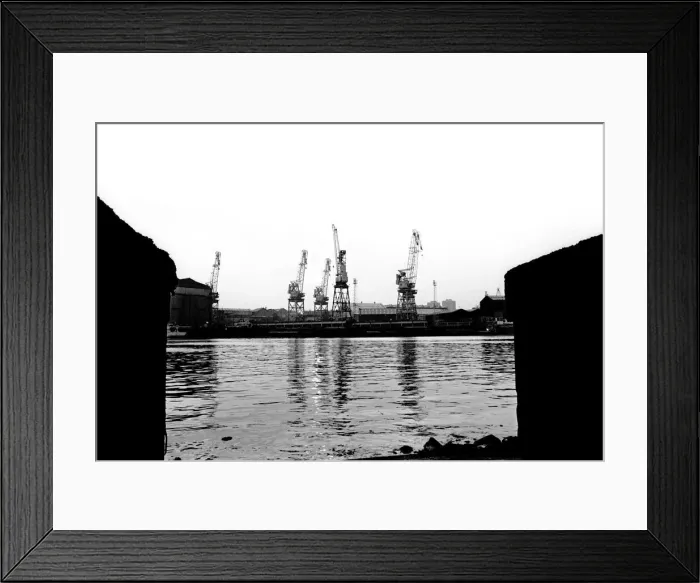 Framed Print : Cranes at Tyne Dock, South Shields 21 June 1979 Framed Print : Cranes at Tyne Dock, South Shields 21 June 1979