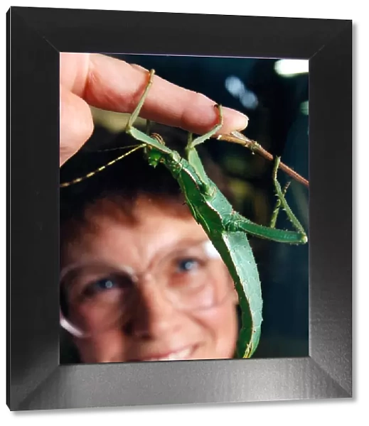 Noreen Wright with a Malaysian Jungle Nymph at a Creepy Crawley Exhibition in August 1995