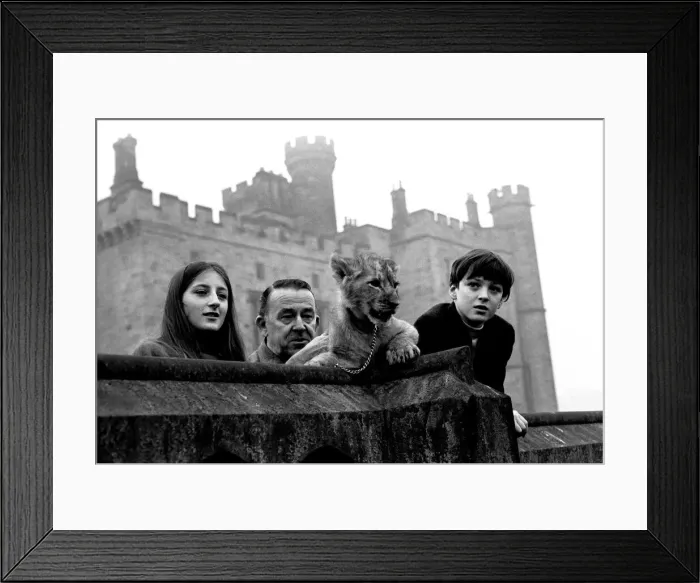 Framed Print : Viscount Lambton and Lady Isabella with the lion cubs which are bound for the Lambton Framed Print : Viscount Lambton and Lady Isabella with the lion cubs which are bound for the Lambton
