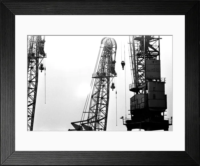 Framed Print : Cranes at Tyne Dock, South Shields 21 June 1979