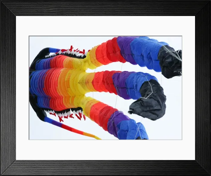Framed Print : The second annual kite festivel on the links in Whitley Bay gets underway Framed Print : The second annual kite festivel on the links in Whitley Bay gets underway