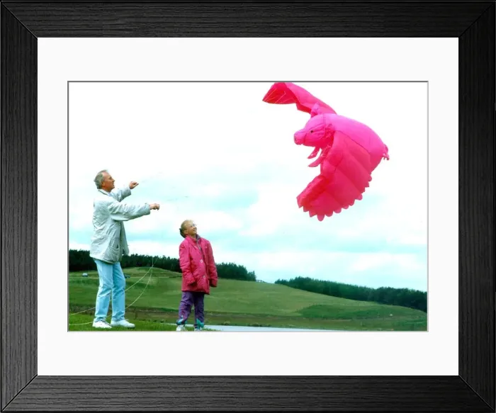 Framed Print : Ther is such a thing as a flying pig in May 1993 Framed Print : Ther is such a thing as a flying pig in May 1993