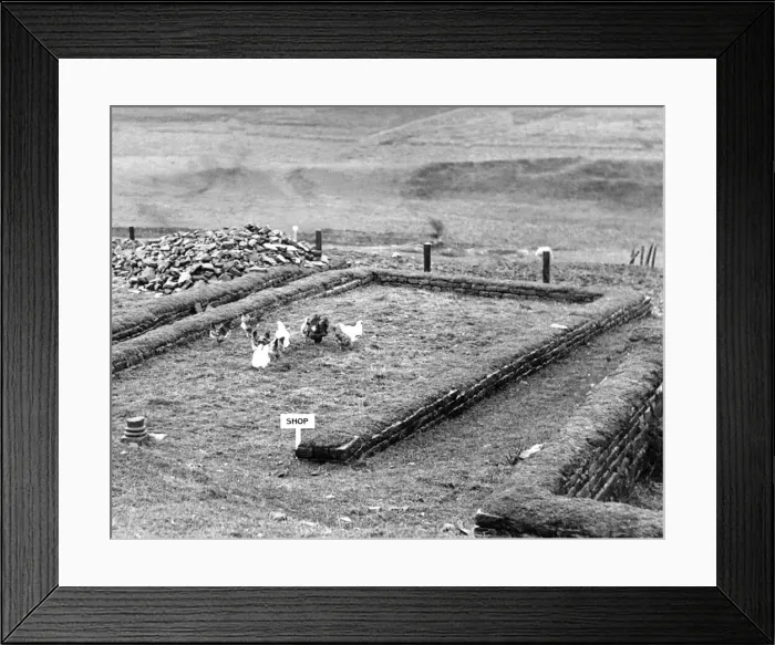 Framed Print : The shop at the Roman fort of Housesteads, Northumberland makes an excellent feeding Framed Print : The shop at the Roman fort of Housesteads, Northumberland makes an excellent feeding