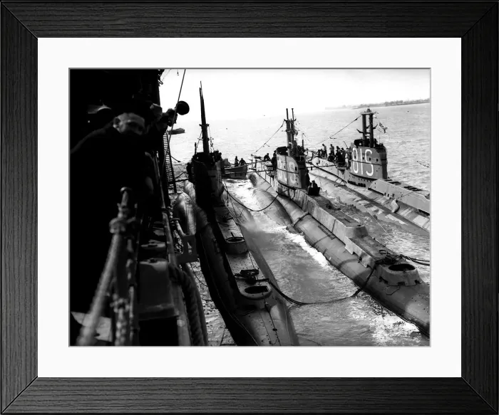 Framed Print : Navy Submarines HMS Sea lion, Snappet, Sunfish Framed Print : Navy Submarines HMS Sea lion, Snappet, Sunfish