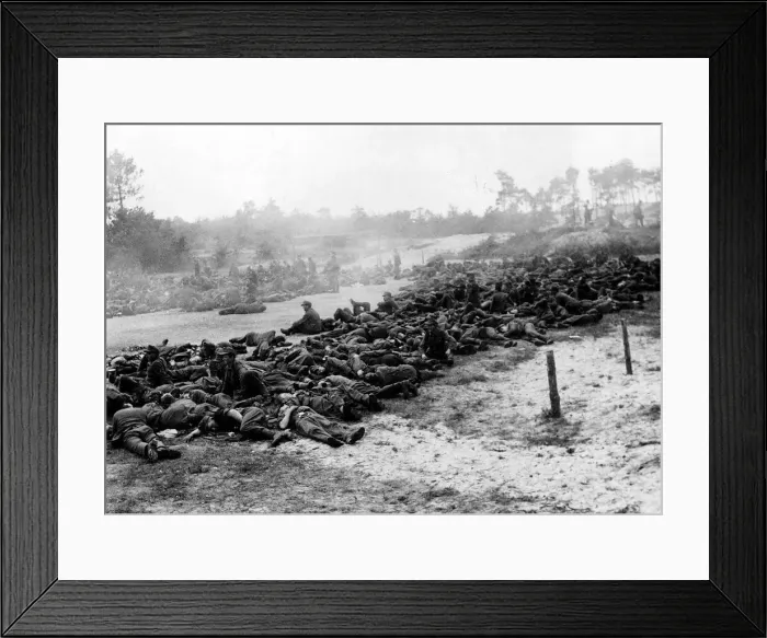 Framed Print : German prisoners who have been rounded up in the area around Nijmegan Holland Framed Print : German prisoners who have been rounded up in the area around Nijmegan Holland