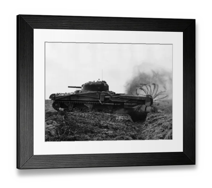 Framed Print : Flail Tank in Normandy 1944 The Flail tank consists of a chassis fitted with a Framed Print : Flail Tank in Normandy 1944 The Flail tank consists of a chassis fitted with a