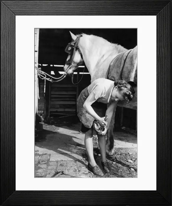 Framed Print : World War Two. Mrs Hughes changing a horses shoe while working as a blacksmith during Framed Print : World War Two. Mrs Hughes changing a horses shoe while working as a blacksmith during