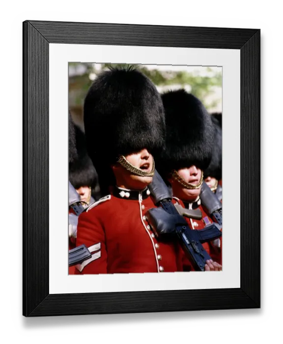 Framed Print : Army Regiments Grenadier Guardsmen return back to barracks after receiving new colours Framed Print : Army Regiments Grenadier Guardsmen return back to barracks after receiving new colours