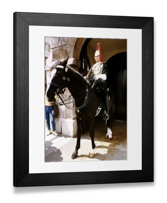Framed Print : Army Regiments Blues and Royals Horse Guards in Whitehall for the Changing of the Guard Framed Print : Army Regiments Blues and Royals Horse Guards in Whitehall for the Changing of the Guard