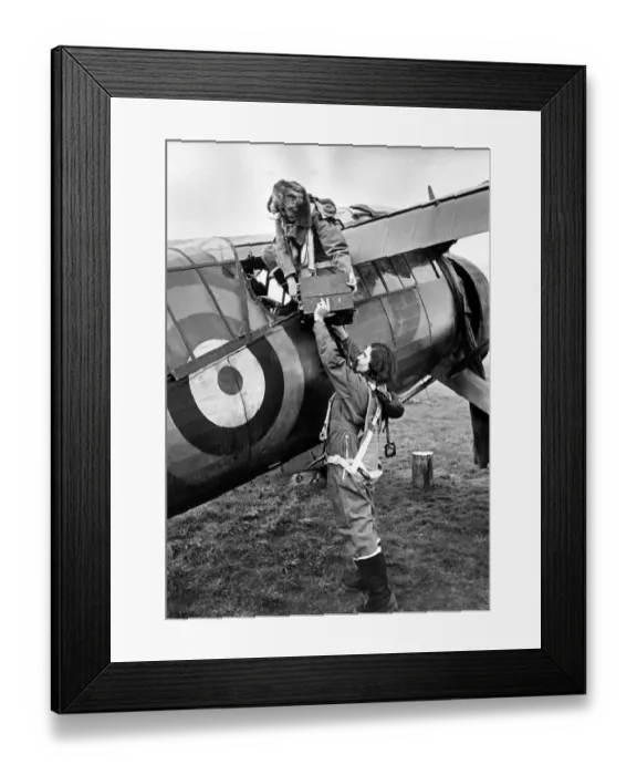 Framed Print : Royal Air Force Women Wrens attached to the Fleet Air Arm Framed Print : Royal Air Force Women Wrens attached to the Fleet Air Arm