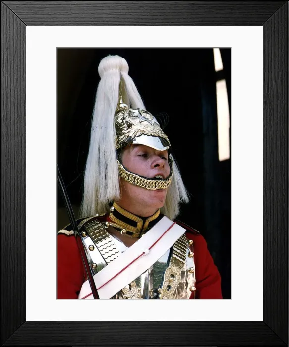 Framed Print : Army Regiments Life Gaurds Framed Print : Army Regiments Life Gaurds