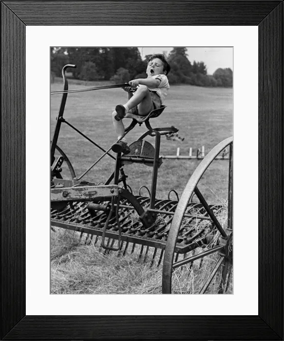 Framed Print : David Taylor, three year old farmer of Denham, tries out the harvesting machine July 1943 Framed Print : David Taylor, three year old farmer of Denham, tries out the harvesting machine July 1943