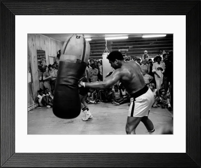 Framed Print : Muhammad Ali Boxer August 1978 (aka Cassius Clay) training for the fight with Leon Framed Print : Muhammad Ali Boxer August 1978 (aka Cassius Clay) training for the fight with Leon