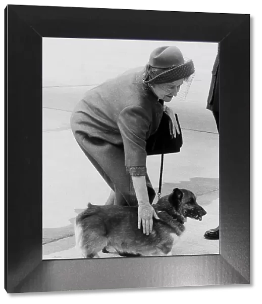 Queen Mother, May 1983 At Airport for her stay at Balmoral With her Corgi