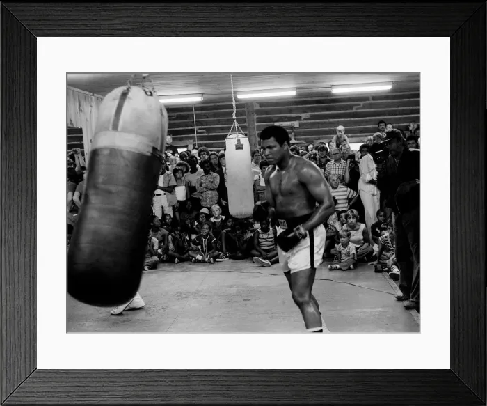 Framed Print : Muhammad Ali Boxer August 1978 (aka Cassius Clay) training for the fight with Leon Framed Print : Muhammad Ali Boxer August 1978 (aka Cassius Clay) training for the fight with Leon