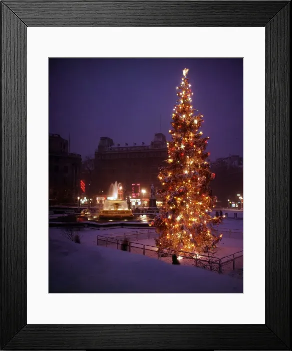 Framed Print : Christmas Tree, Fountains and Lights in Trafalgar Square, London Framed Print : Christmas Tree, Fountains and Lights in Trafalgar Square, London